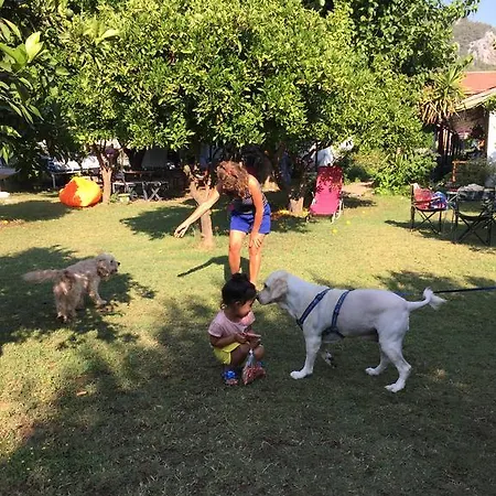 Friends Pension&camping Alloggio in famiglia *