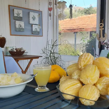 Alloggio in famiglia Friends Pension&camping *