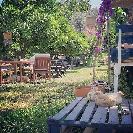 Alloggio in famiglia Friends Pension&camping