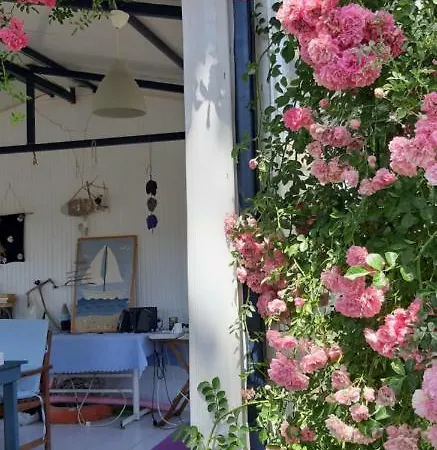 Friends Pension&camping Alloggio in famiglia
